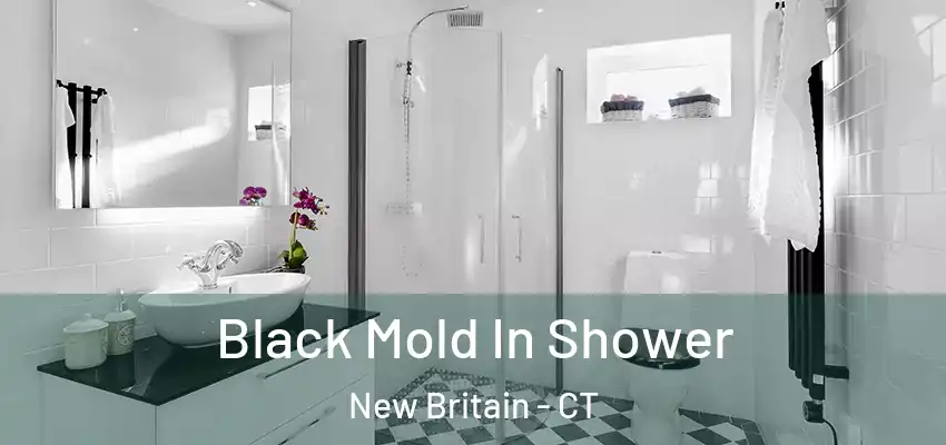  Black Mold In Shower New Britain - CT