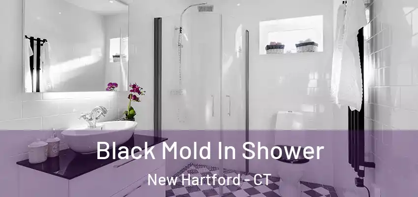 Black Mold In Shower New Hartford - CT