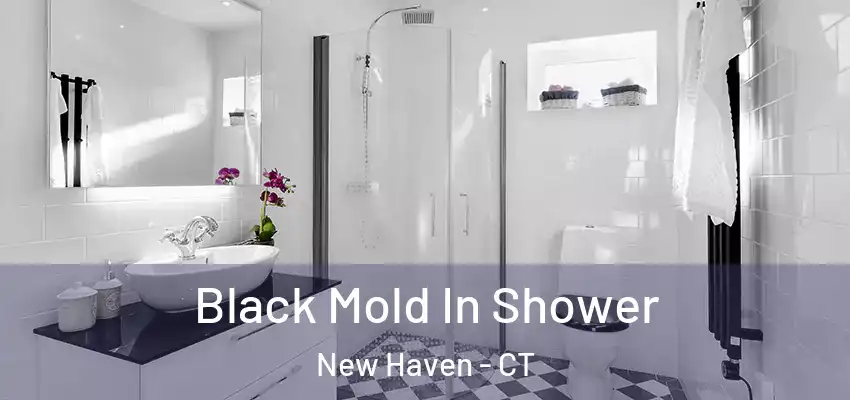 Black Mold In Shower New Haven - CT