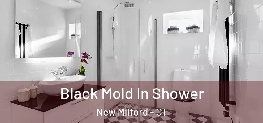  Black Mold In Shower New Milford - CT