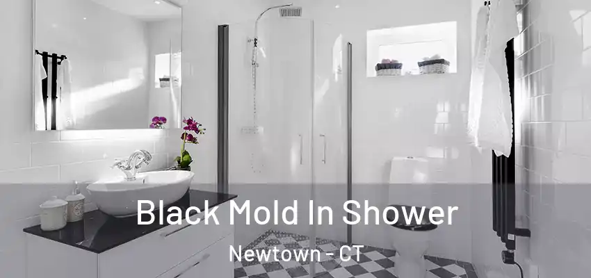  Black Mold In Shower Newtown - CT