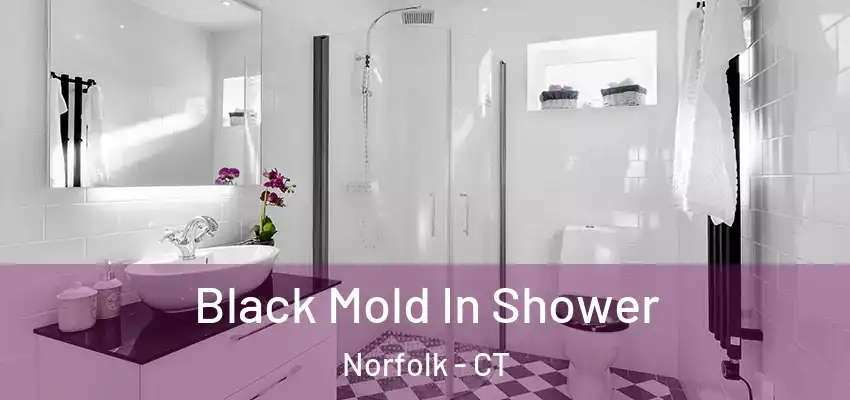  Black Mold In Shower Norfolk - CT