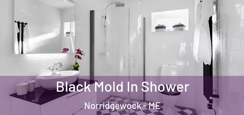 Black Mold In Shower Norridgewock - ME