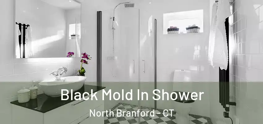  Black Mold In Shower North Branford - CT
