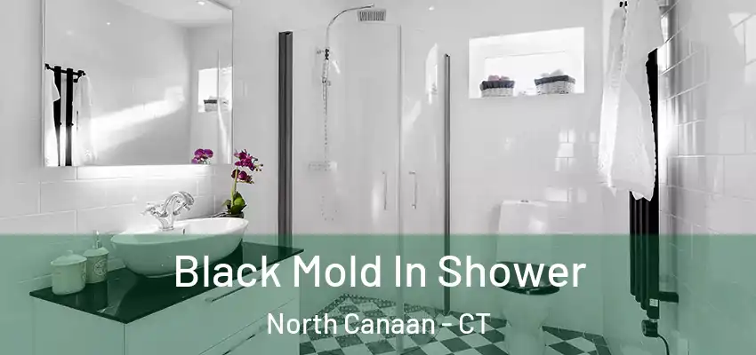 Black Mold In Shower North Canaan - CT