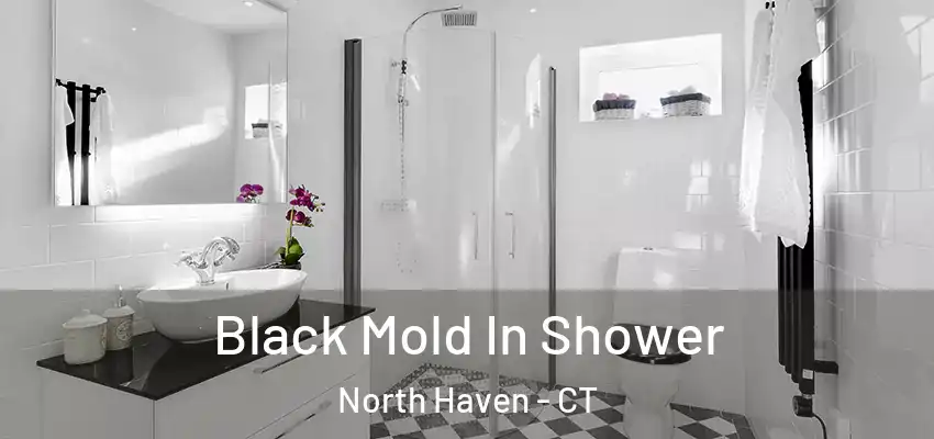 Black Mold In Shower North Haven - CT
