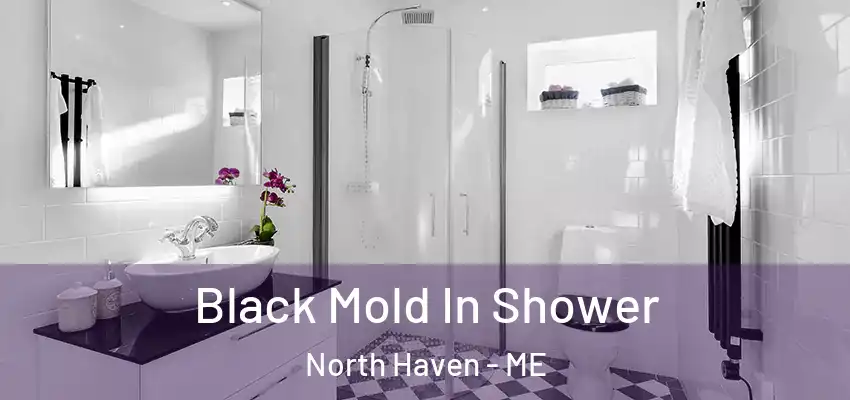 Black Mold In Shower North Haven - ME