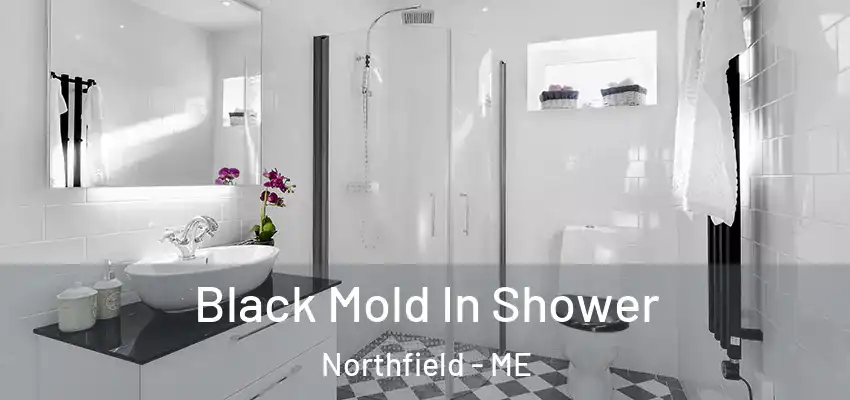 Black Mold In Shower Northfield - ME