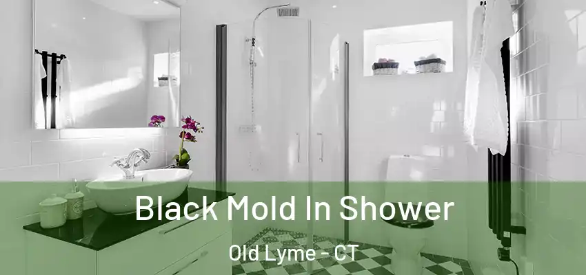 Black Mold In Shower Old Lyme - CT