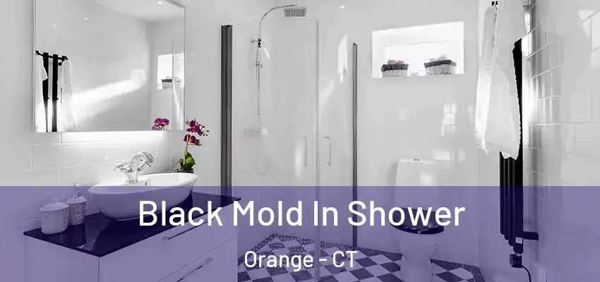  Black Mold In Shower Orange - CT