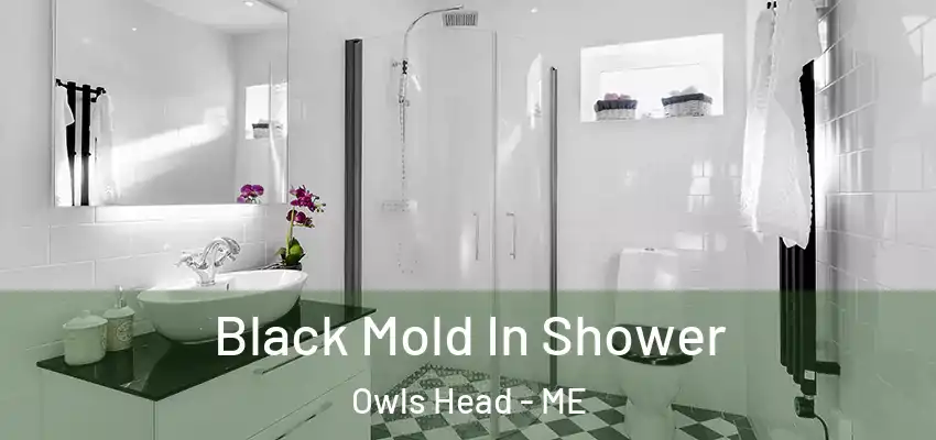 Black Mold In Shower Owls Head - ME