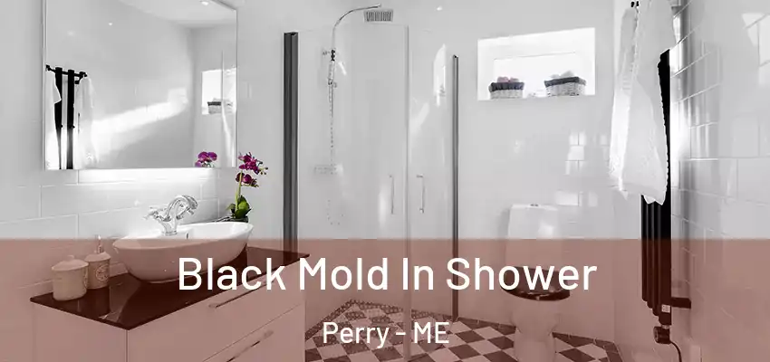 Black Mold In Shower Perry - ME