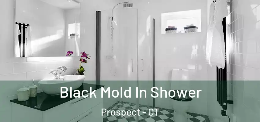 Black Mold In Shower Prospect - CT