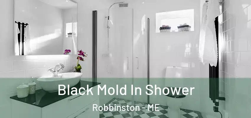 Black Mold In Shower Robbinston - ME