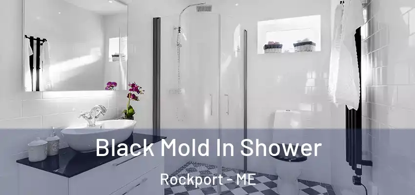  Black Mold In Shower Rockport - ME