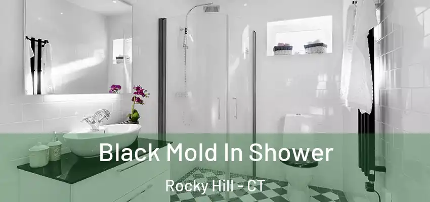  Black Mold In Shower Rocky Hill - CT