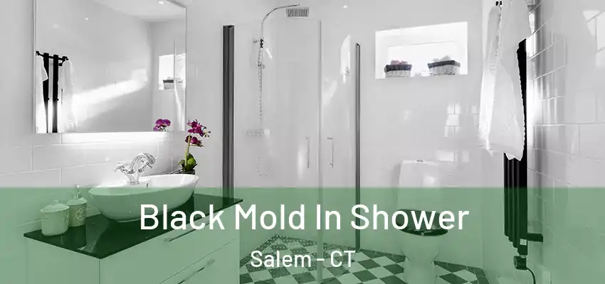  Black Mold In Shower Salem - CT