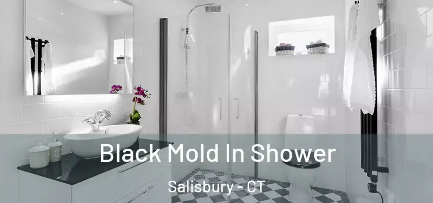 Black Mold In Shower Salisbury - CT