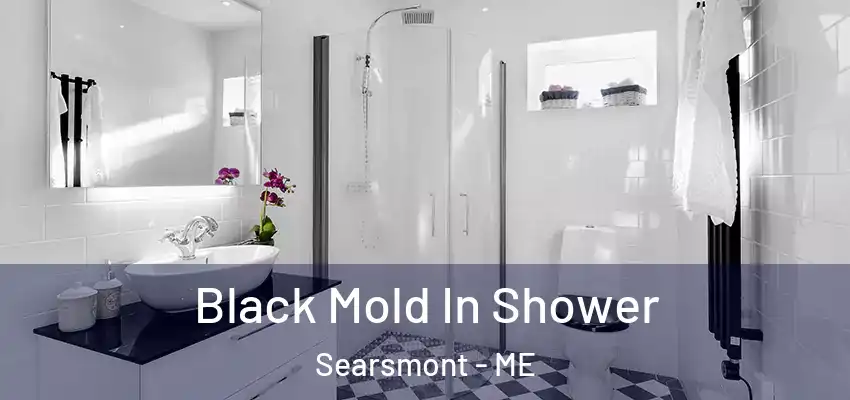  Black Mold In Shower Searsmont - ME