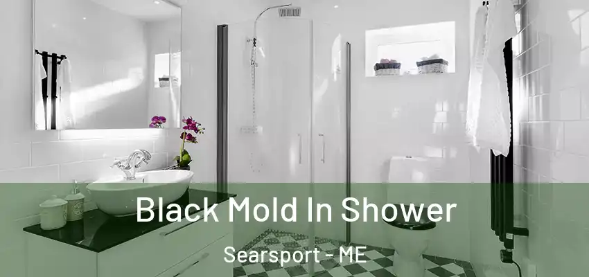  Black Mold In Shower Searsport - ME