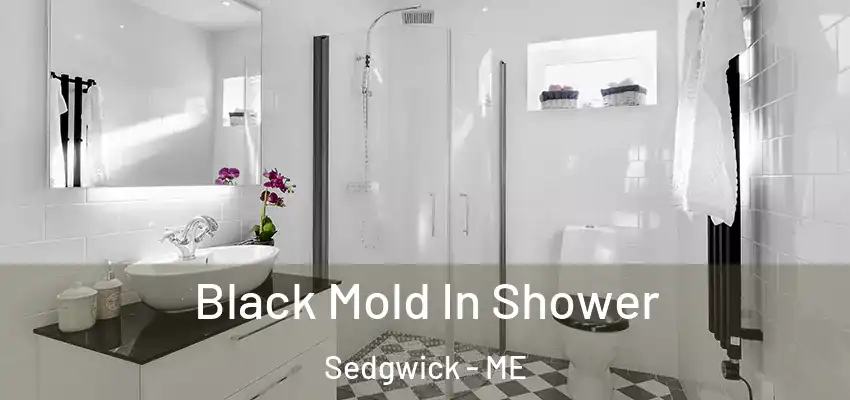 Black Mold In Shower Sedgwick - ME