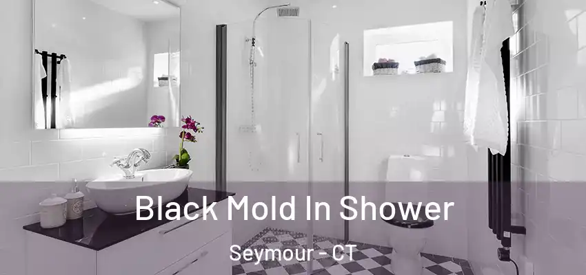 Black Mold In Shower Seymour - CT