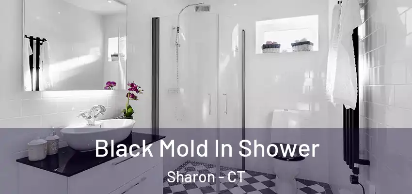 Black Mold In Shower Sharon - CT