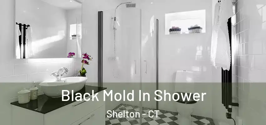 Black Mold In Shower Shelton - CT