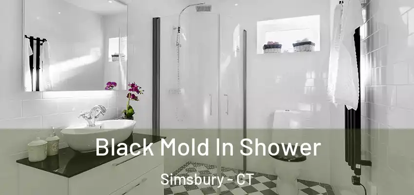  Black Mold In Shower Simsbury - CT