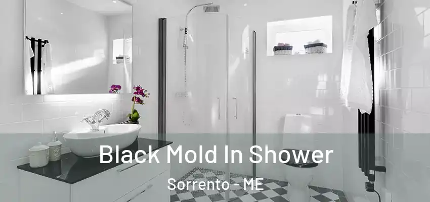  Black Mold In Shower Sorrento - ME