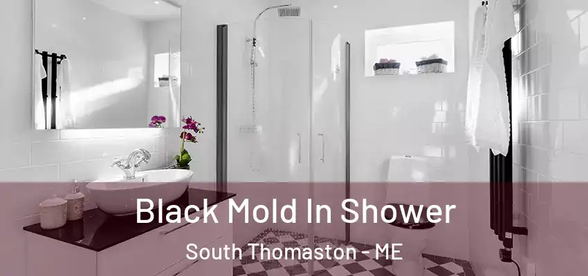 Black Mold In Shower South Thomaston - ME