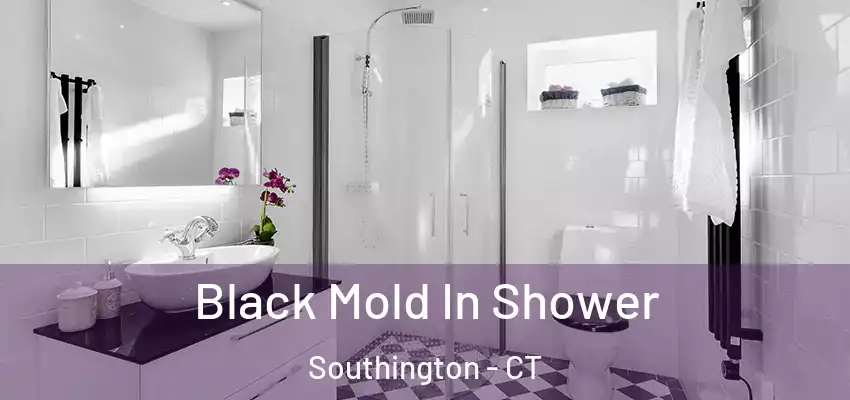  Black Mold In Shower Southington - CT