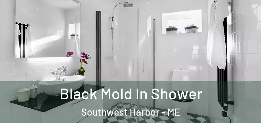  Black Mold In Shower Southwest Harbor - ME