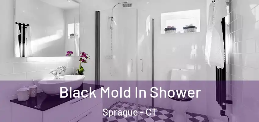 Black Mold In Shower Sprague - CT