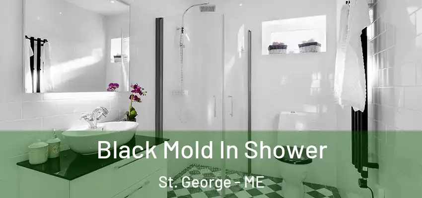 Black Mold In Shower St. George - ME