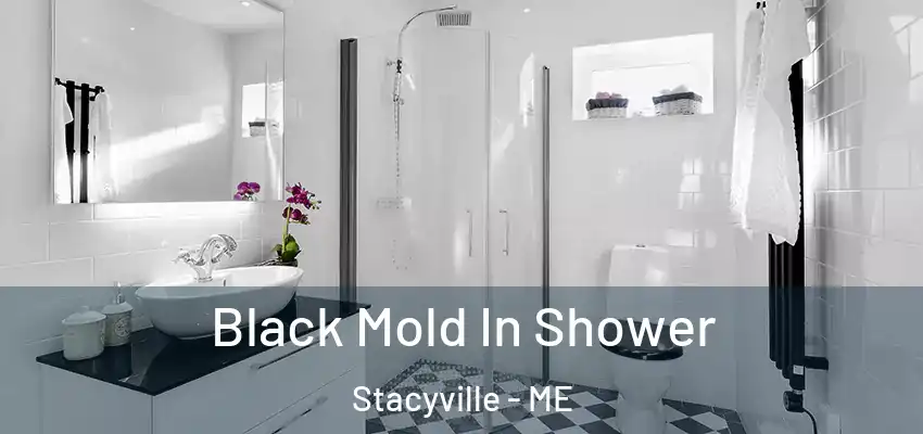  Black Mold In Shower Stacyville - ME