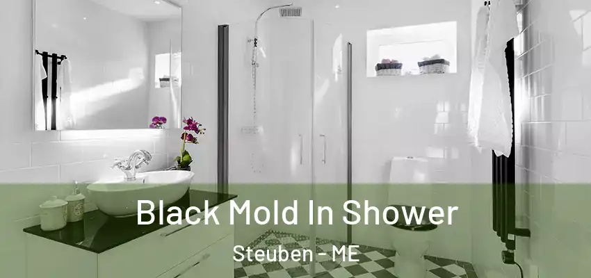  Black Mold In Shower Steuben - ME