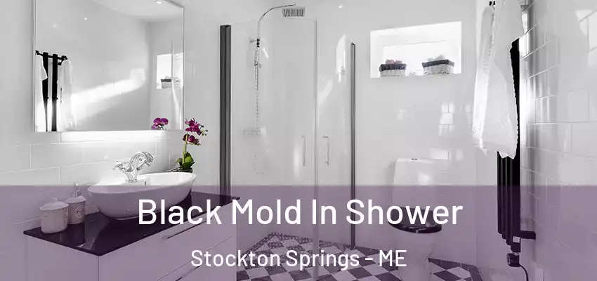  Black Mold In Shower Stockton Springs - ME