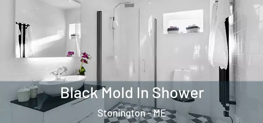  Black Mold In Shower Stonington - ME