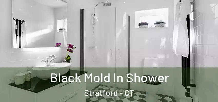 Black Mold In Shower Stratford - CT