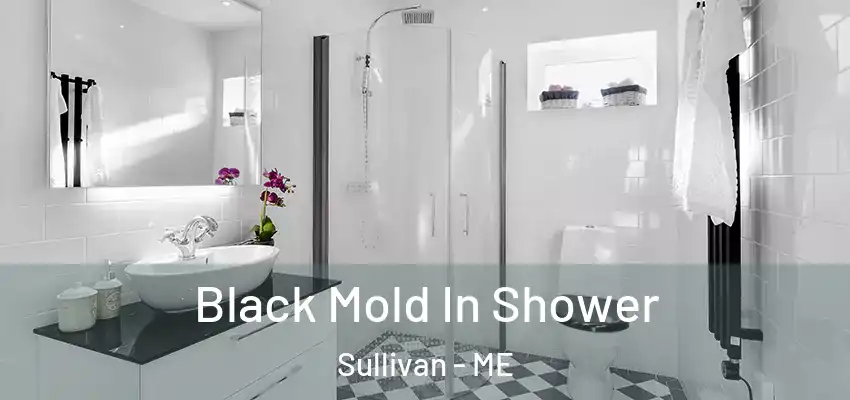 Black Mold In Shower Sullivan - ME