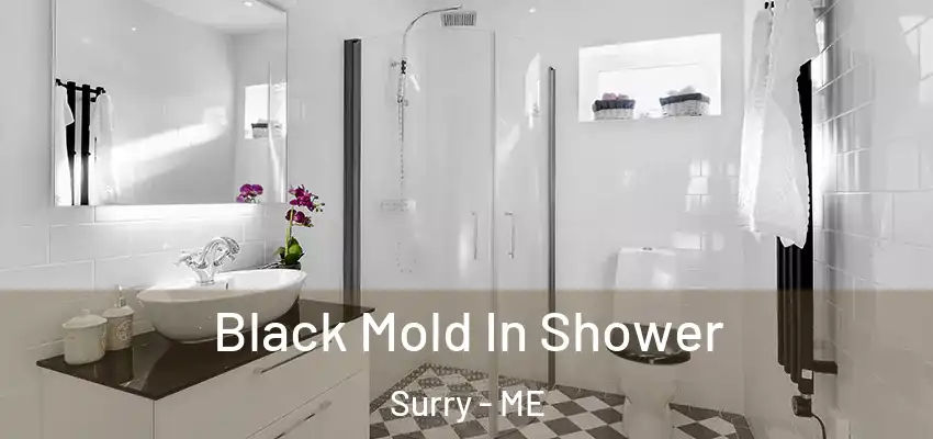  Black Mold In Shower Surry - ME