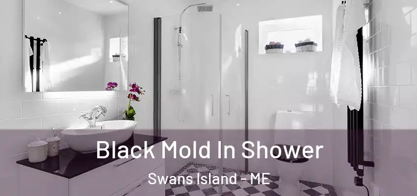 Black Mold In Shower Swans Island - ME