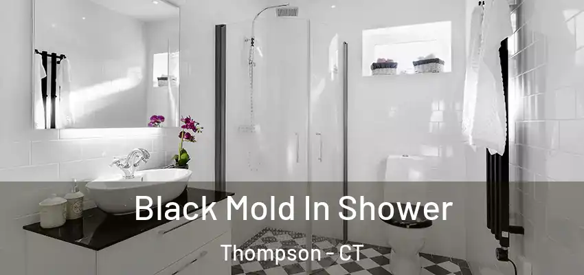 Black Mold In Shower Thompson - CT