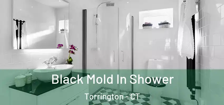 Black Mold In Shower Torrington - CT