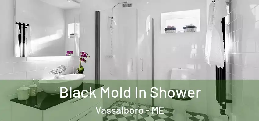  Black Mold In Shower Vassalboro - ME