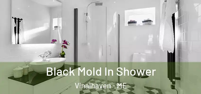  Black Mold In Shower Vinalhaven - ME