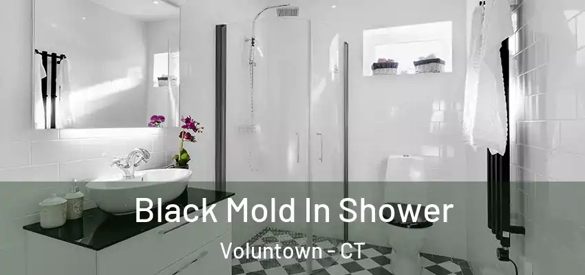 Black Mold In Shower Voluntown - CT