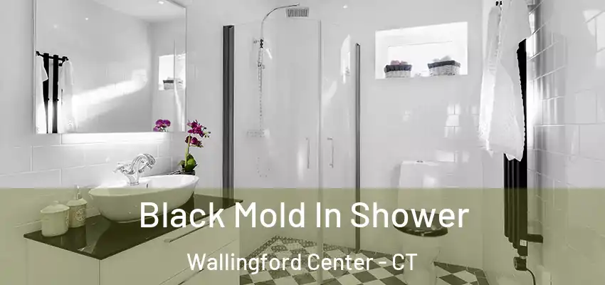 Black Mold In Shower Wallingford Center - CT