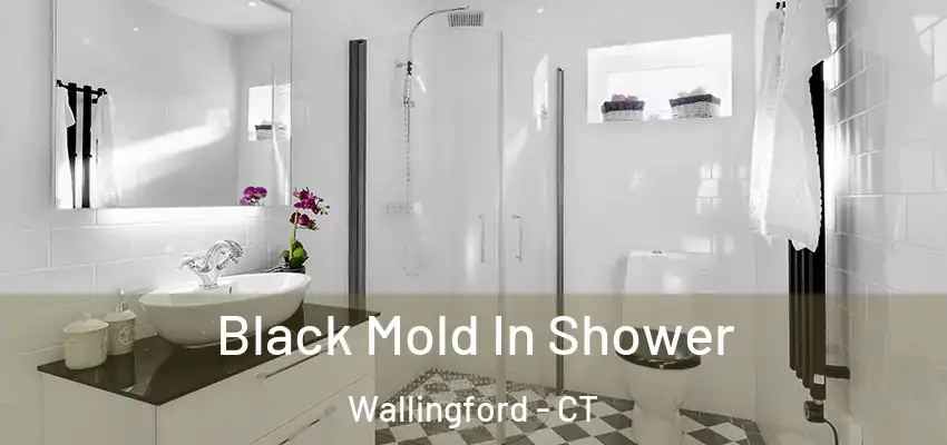Black Mold In Shower Wallingford - CT